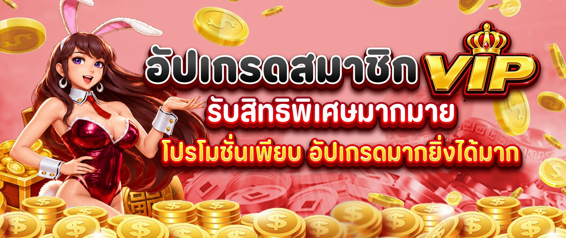 อัปเกรดสมาชิก-VIP